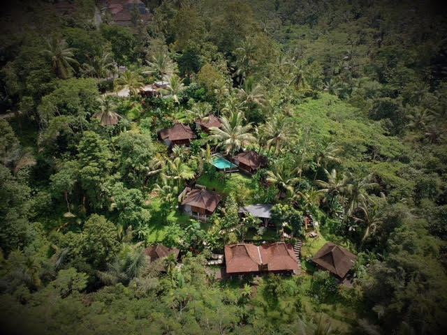 Ubud Jungle Holy Water 외부 사진